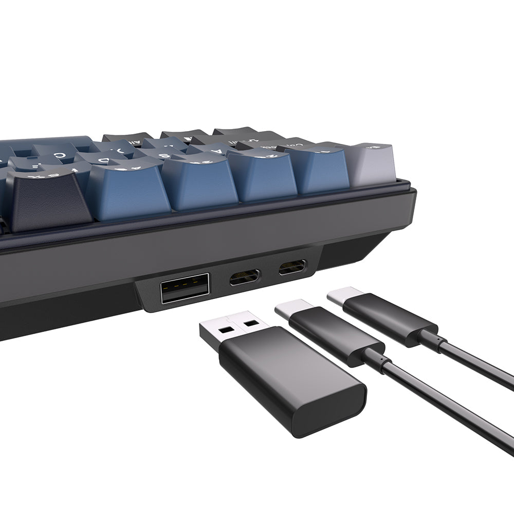 Royal Kludge RK61 Plus connectivity sri lanka