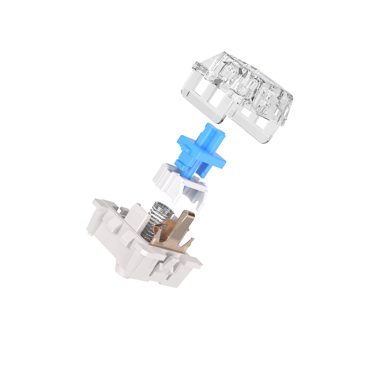 Royal Kludge RK Blue Switches Sri Lanka